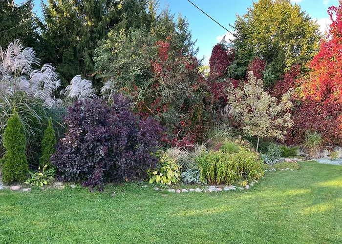 Z Bania Dybowo Dybowo (Elk)