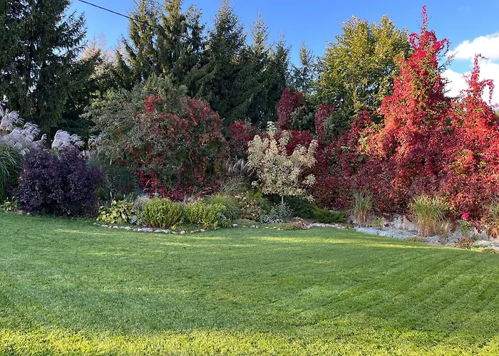 Z Bania Dybowo * Dybowo (Elk)